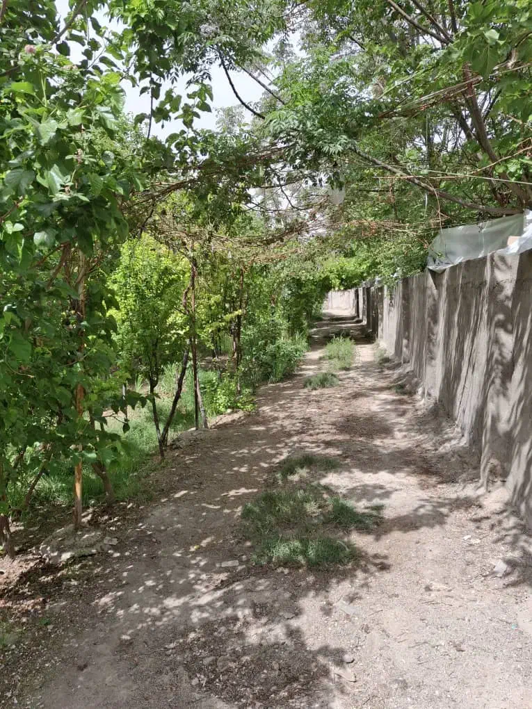 باغچه شهرری گلحصار( فروش رهن اجاره)|اجارهٔ خانه و ویلا|باقرشهر, |دیوار