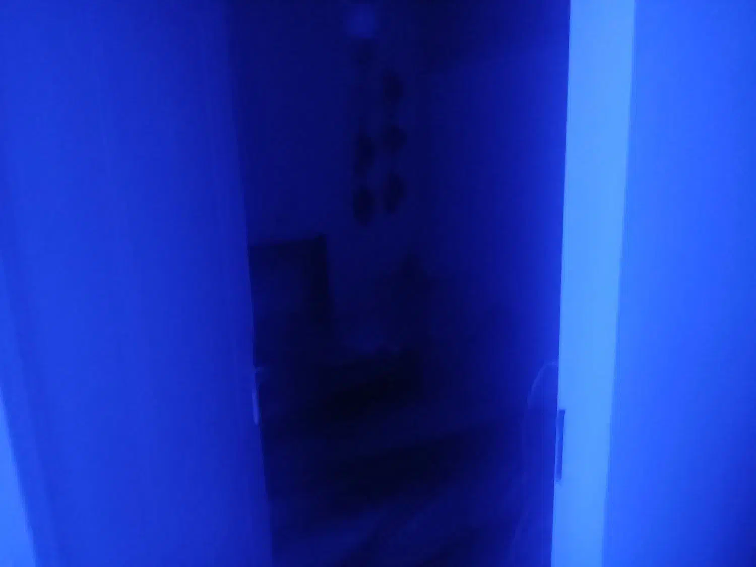 همخونه|اجارهٔ آپارتمان|تهران, نارمک|دیوار