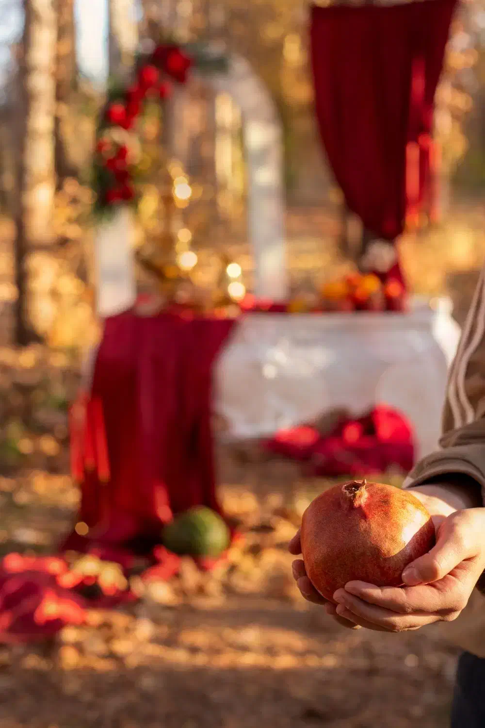 عکاسی یلدا آتلیه و فضای باز|خدمات پذیرایی، مراسم|الوند, |دیوار