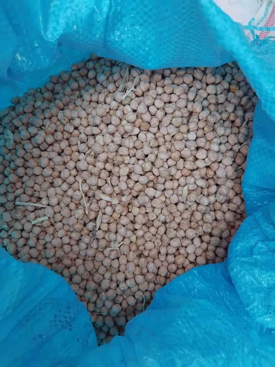 نخودمحلی|خوردنی و آشامیدنی|اقبالیه, |دیوار