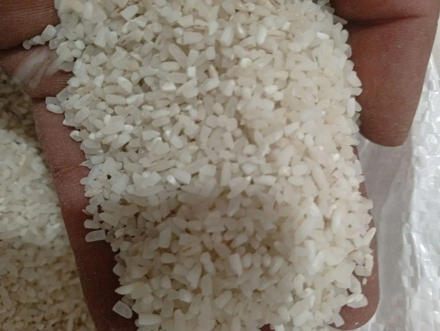 برنج نیم دونه رسید....|خوردنی و آشامیدنی|قرچک, داوود آباد|دیوار