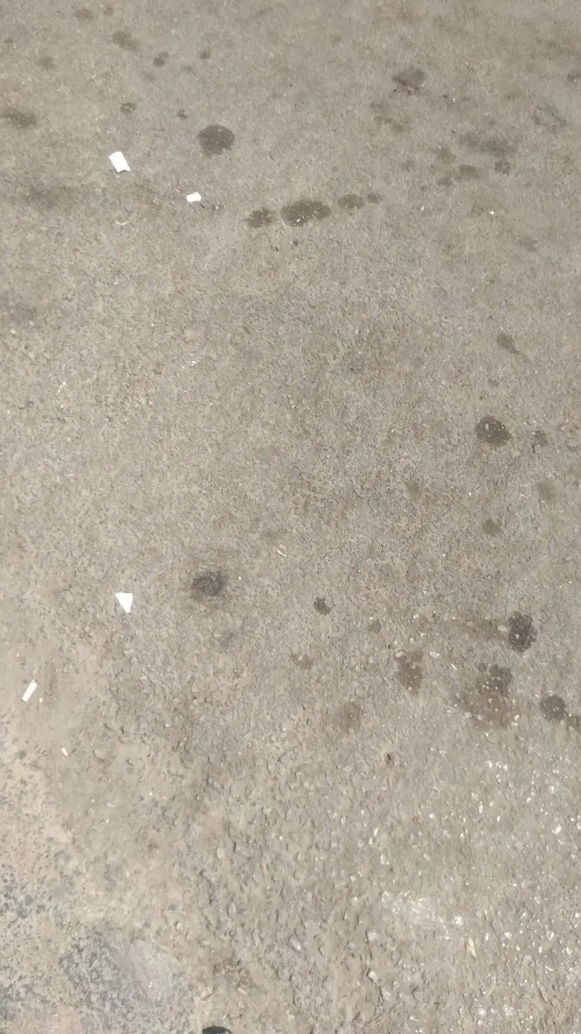 فروش زمین ۱۶۲ متری|فروش زمین و ملک کلنگی|چگنی, |دیوار