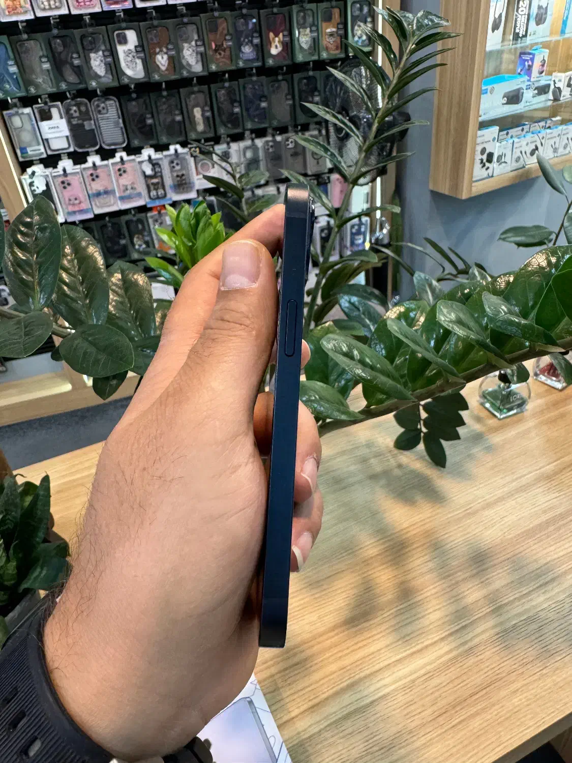 ایفون iPhone 13 حافظه 128بدون پیش پرداخت|موبایل|کرج, عظیمیه|دیوار