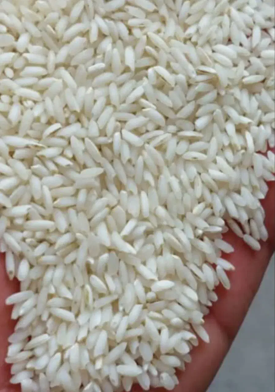 برنج عنبربو درجه یک و اعلا اهواز|خوردنی و آشامیدنی|اسلامشهر, شهرک قائمیه|دیوار