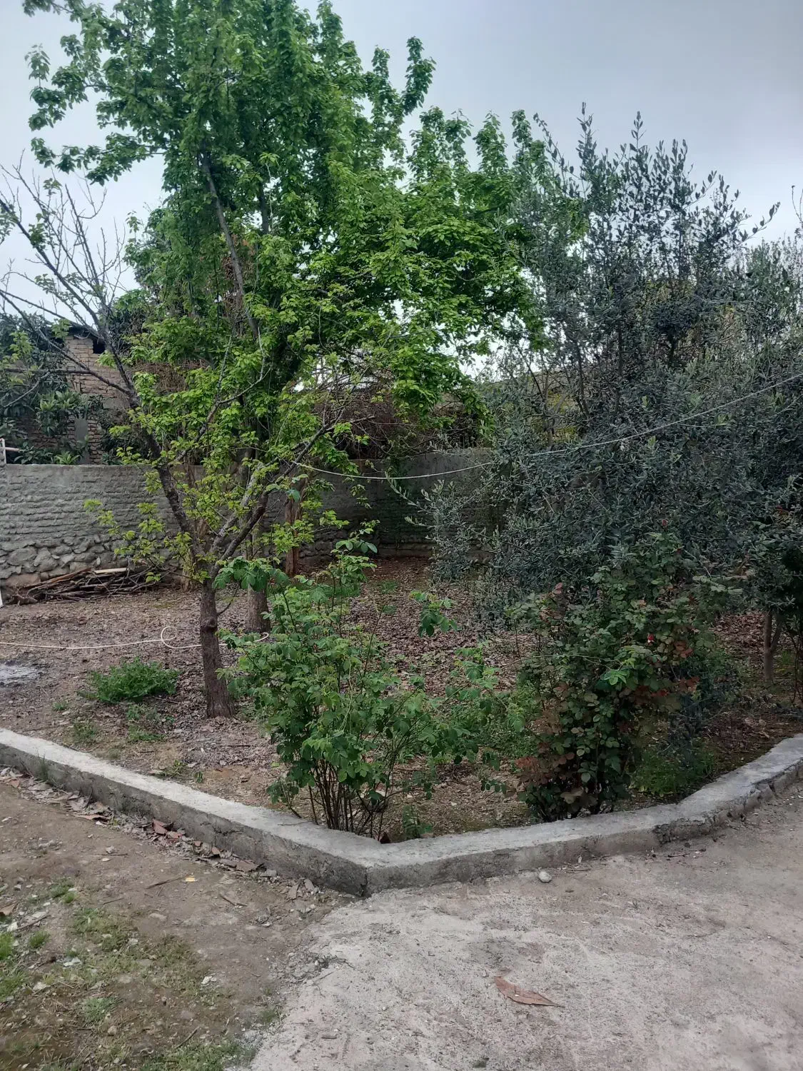 اجاره ویلا  در حاشیه جنگل|اجارهٔ کوتاه‌مدت ویلا و باغ|بندر گز, |دیوار