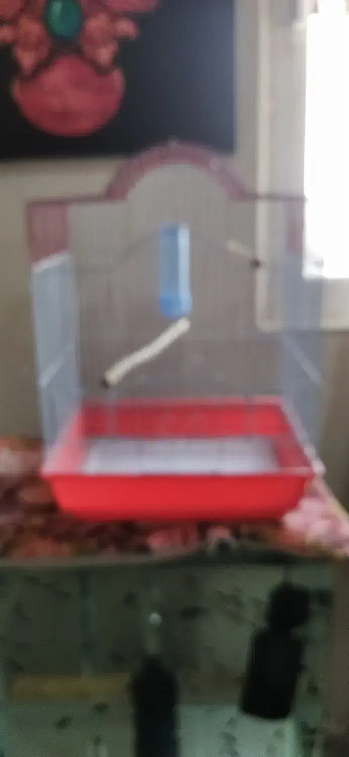 یک عدد قفس پرنده فوری|لوازم جانبی حیوانات|پاکدشت, پاکدشت (مامازند)|دیوار