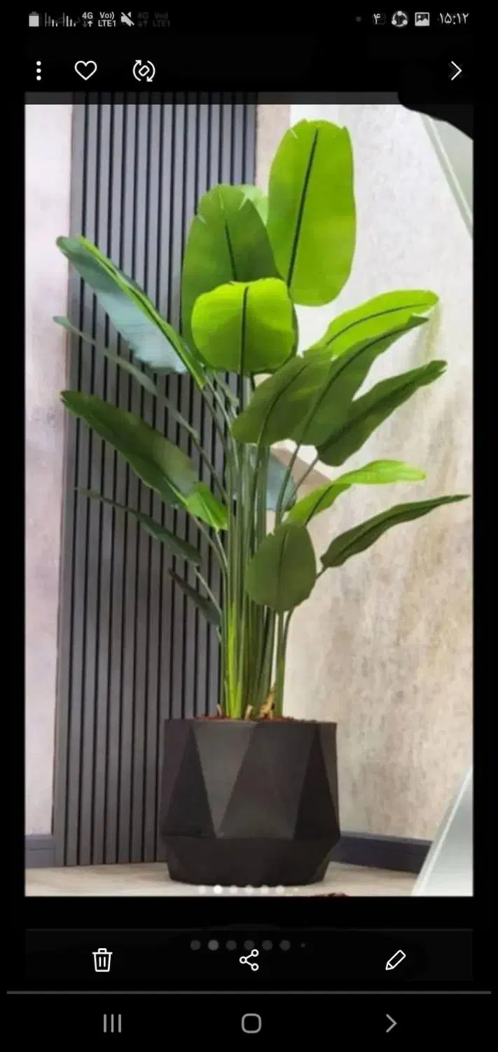 نیگولادرختچ ه|گل مصنوعی|تهران, مشیریه|دیوار