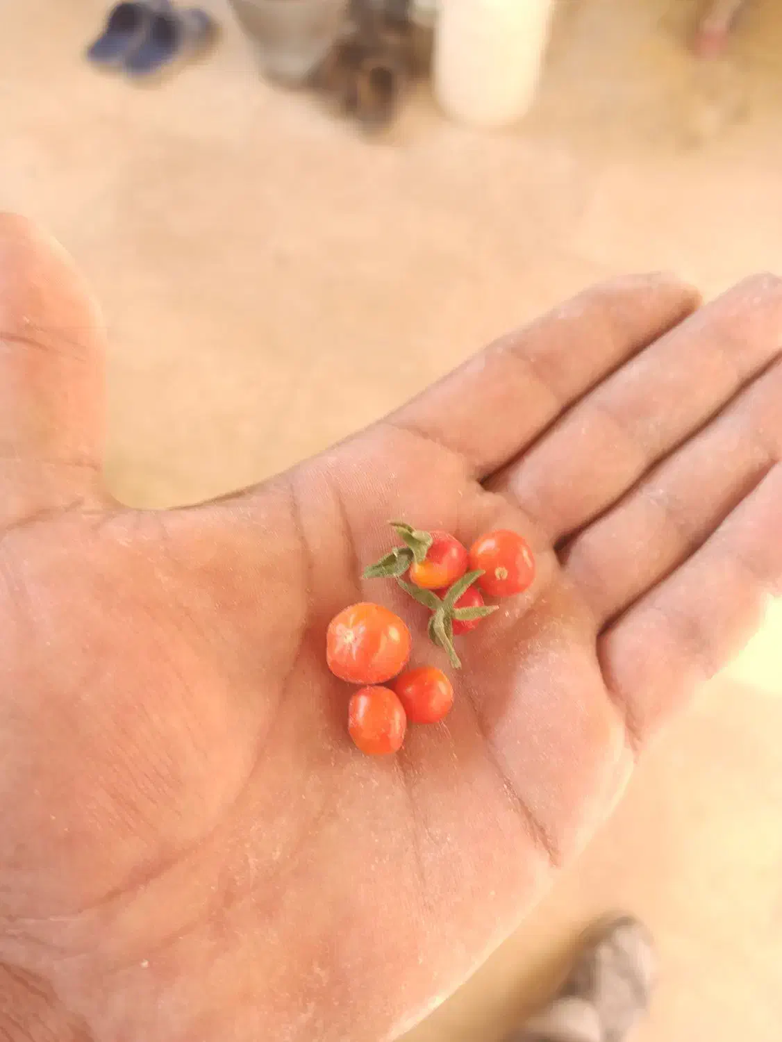 داوطلب|خدمات پیشه و مهارت|پرند, فاز ۵|دیوار