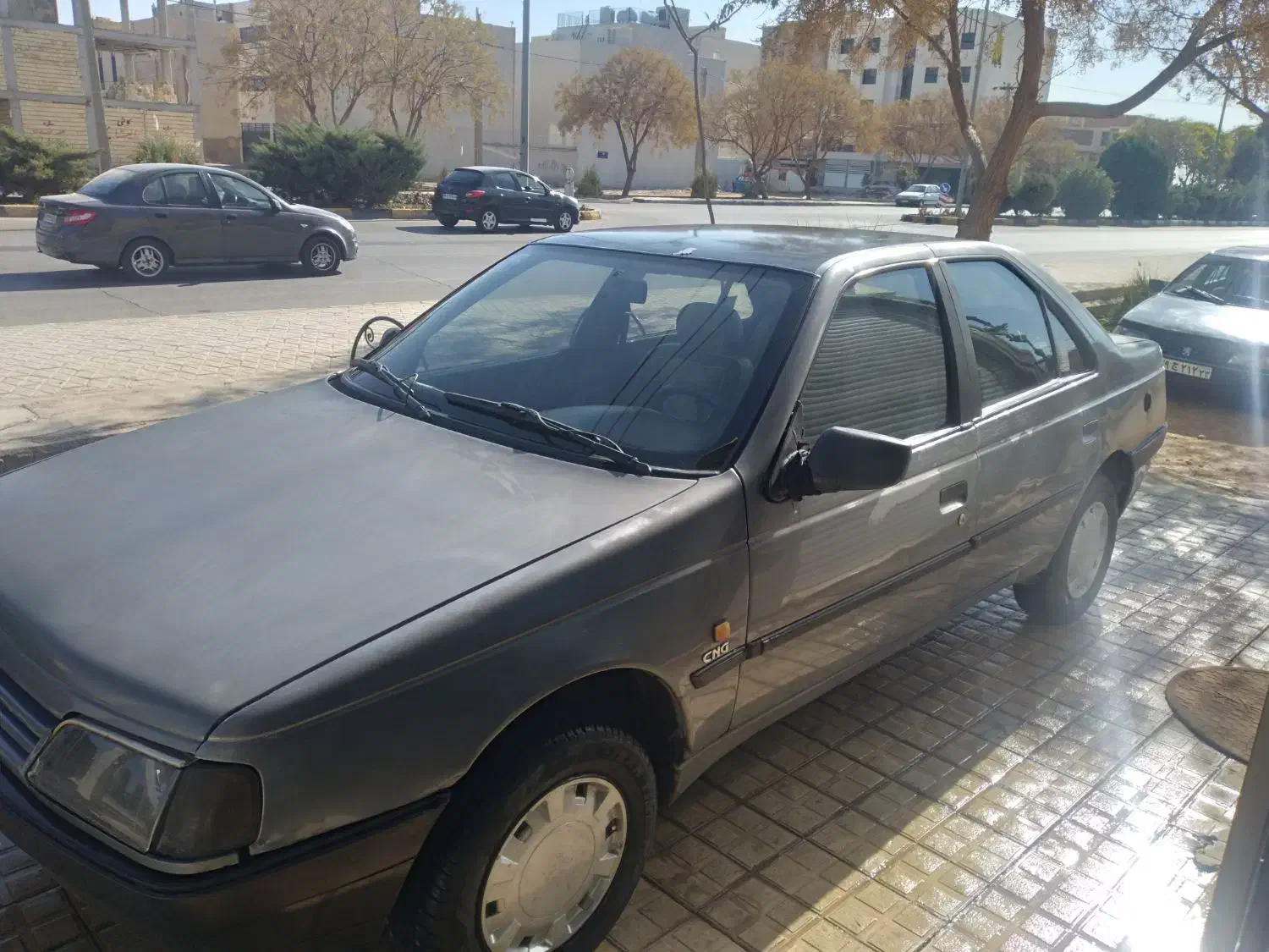 ۴۰۵ دوگانه فابریک|خودرو سواری و وانت|شاهینشهر, خانه کارگر|دیوار