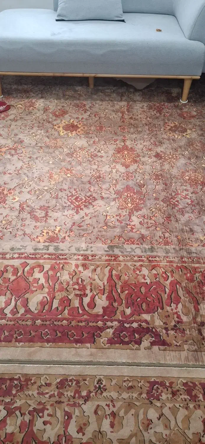 فرش کلاسیک|فرش|اسفراین, |دیوار