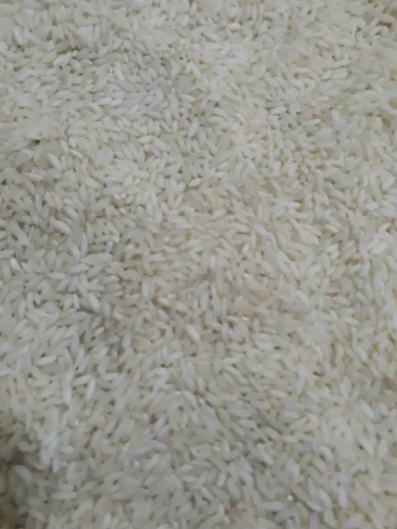 برنج عنبر بوشوشتر|خوردنی و آشامیدنی|اهواز, ۳۰ متری|دیوار