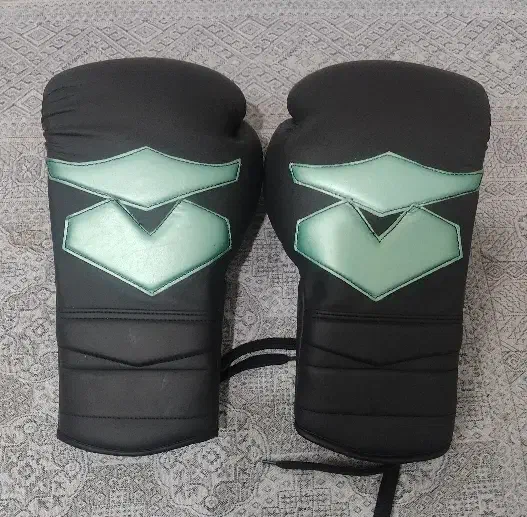 دستکش بوکس حرفه ای|تجهیزات ورزشی|ری, ظهیرآباد|دیوار