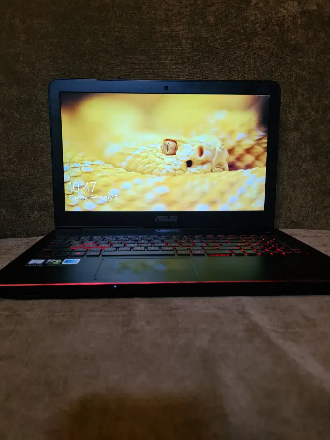 لپتاب ایسوس گیمینگ رم ۳۲ صفحه 4k و هارد یک ترا|رایانه همراه|تهران, نارمک جنوبی|دیوار