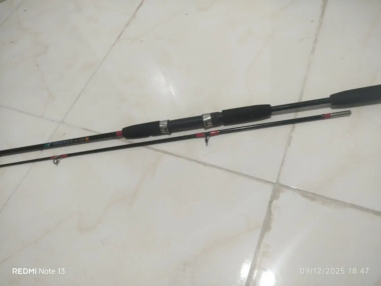 چوب ماهیگیری|ماهیگیری|بندرعباس, |دیوار