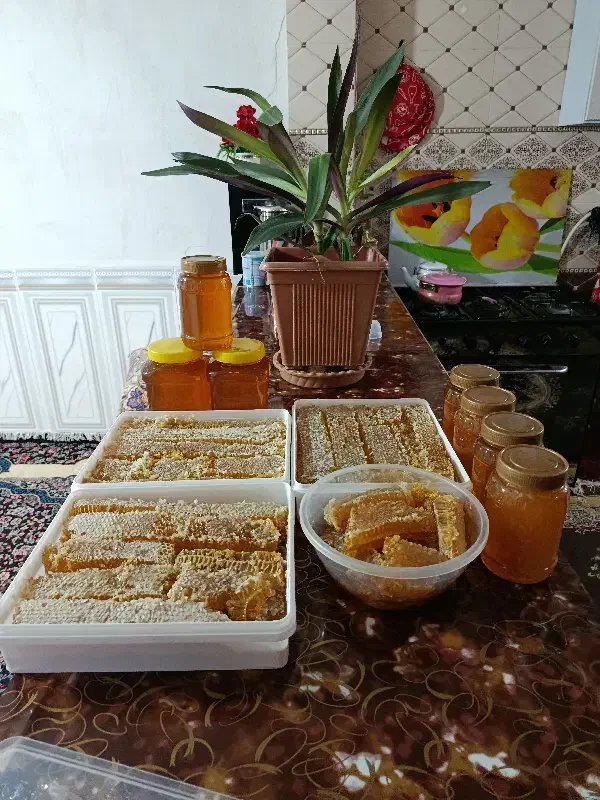 عسل درجه یک گون|خوردنی و آشامیدنی|پاتاوه, |دیوار