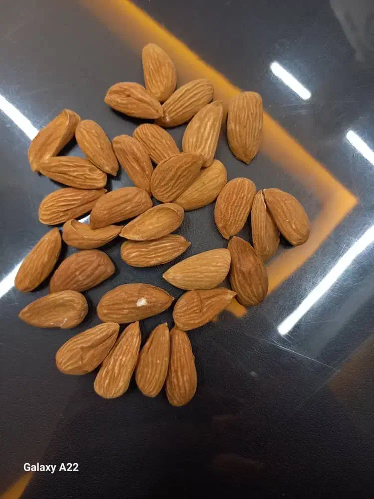 فروش عمده وخرده مغز بادام|خوردنی و آشامیدنی|تهران, طرشت|دیوار