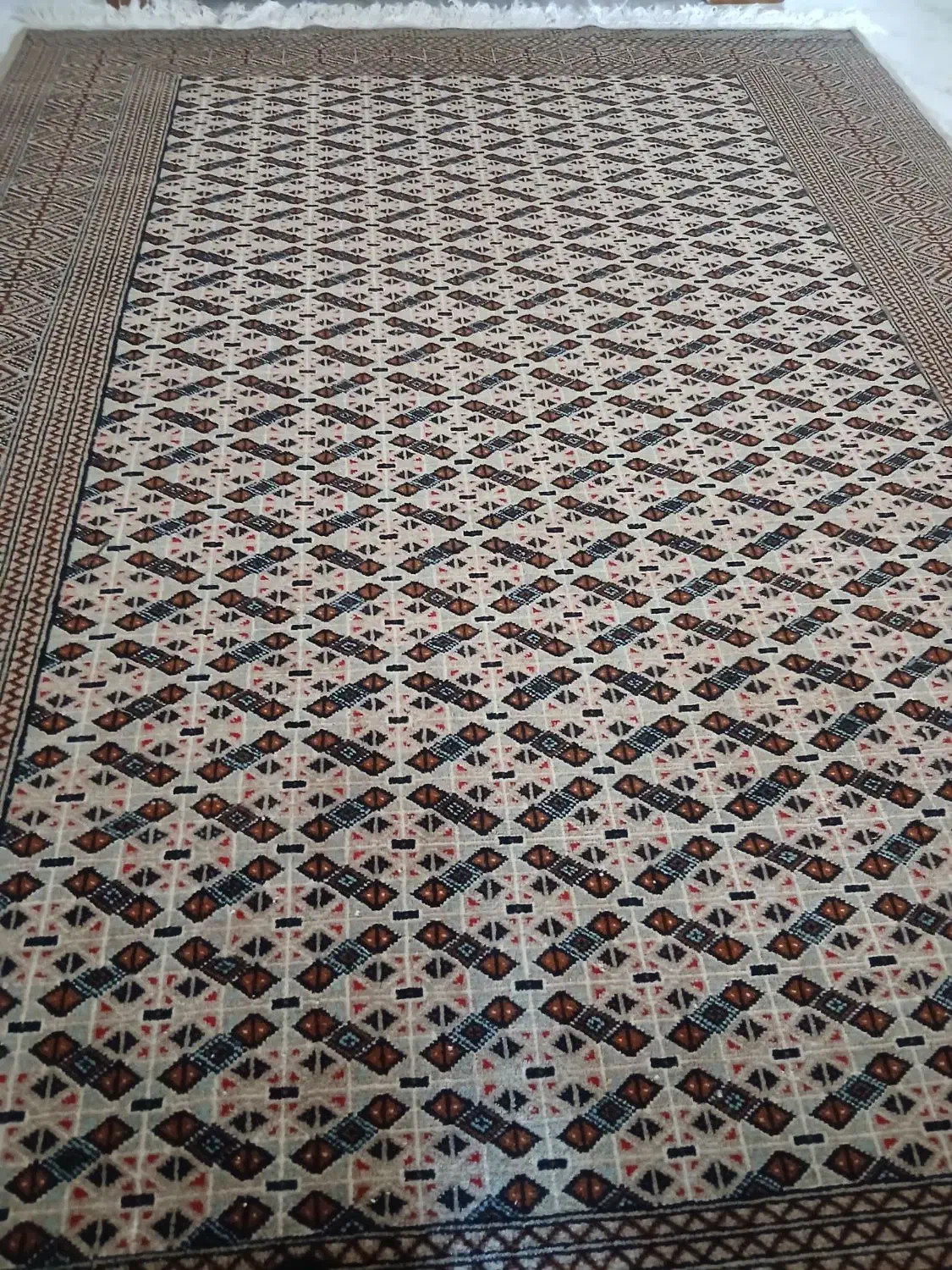 فرش دستبافت ۹متری|فرش|گرگان, |دیوار