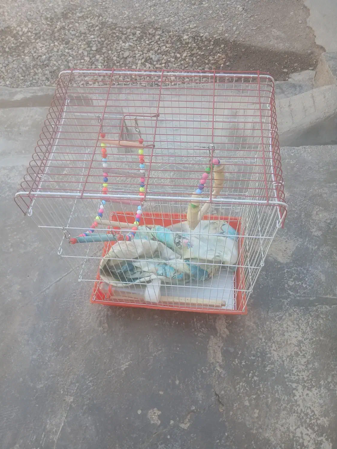 قفس بزرگ|لوازم جانبی حیوانات|دشتابی, |دیوار