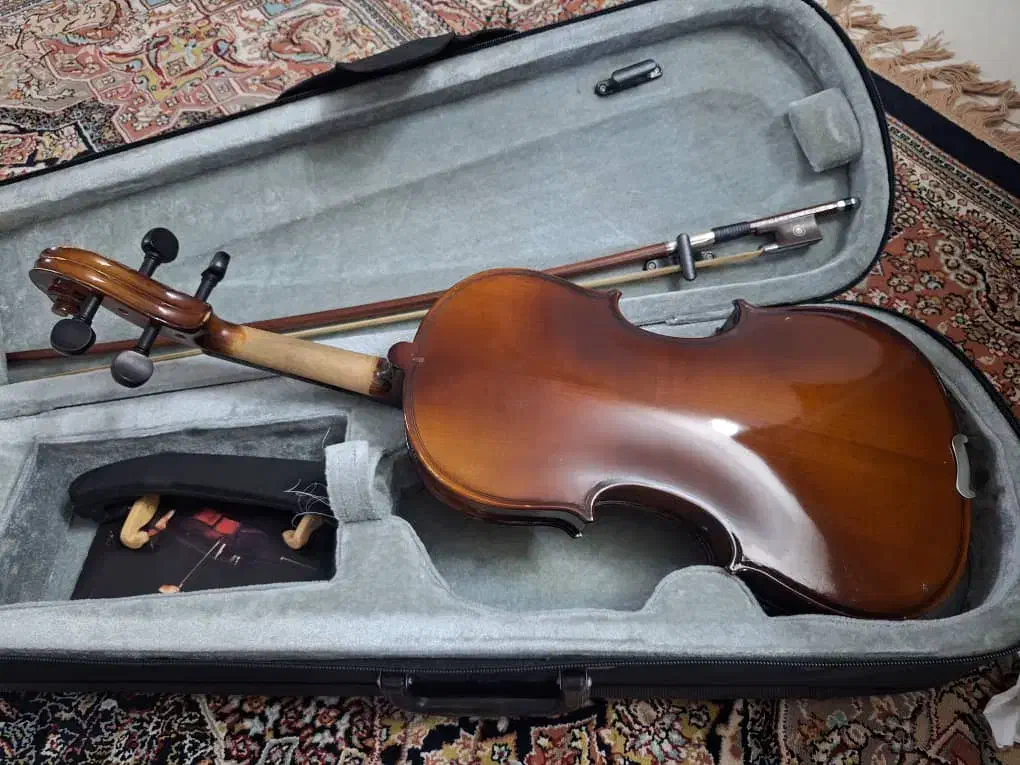 ویالون tf student اصلی 2/4|ویولن|اصفهان, باغ دریاچه|دیوار