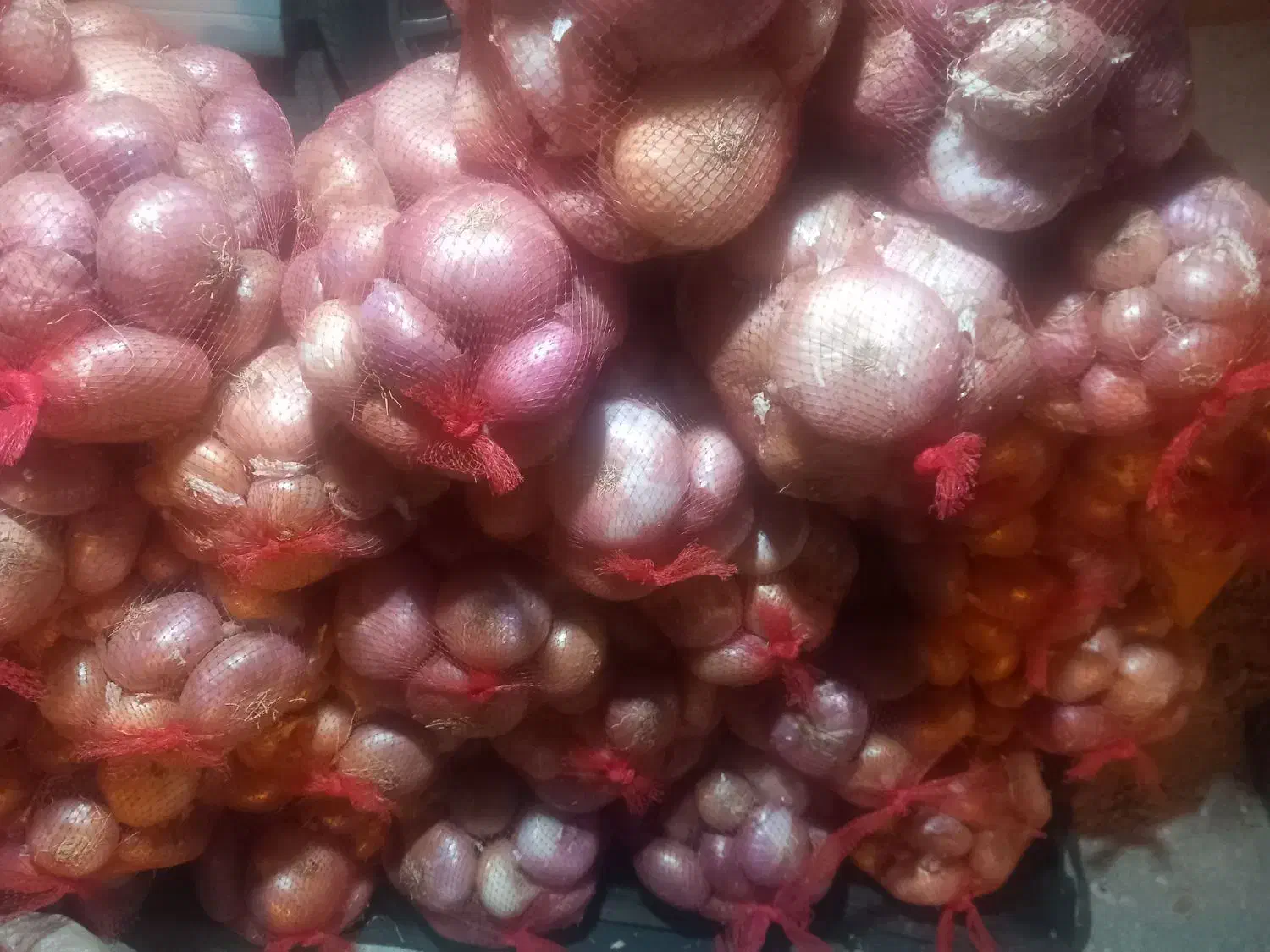 پیاز محلی سپیدان .|حراج|اهرم, |دیوار