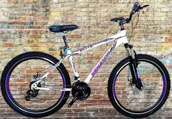 دوچرخه حرفه ای شهری و کوهستانی|دوچرخه، اسکیت، اسکوتر|تهران, مهرآباد جنوبی|دیوار