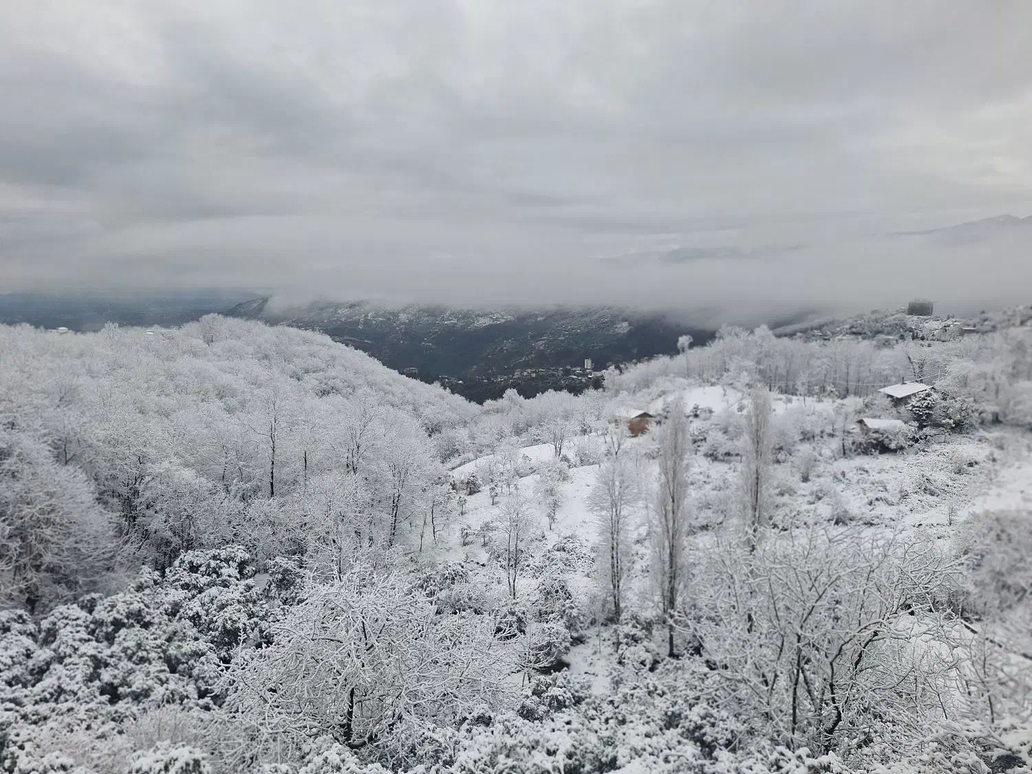 ویلاجنگلی اربکله رامسر|اجارهٔ کوتاه‌مدت ویلا و باغ|رامسر, |دیوار