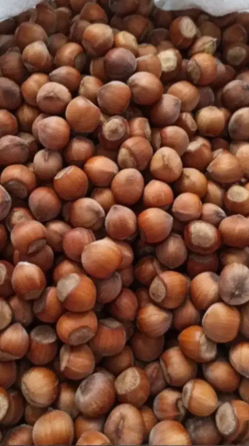 فندق وگردو|خوردنی و آشامیدنی|محمدیه-قزوین, |دیوار