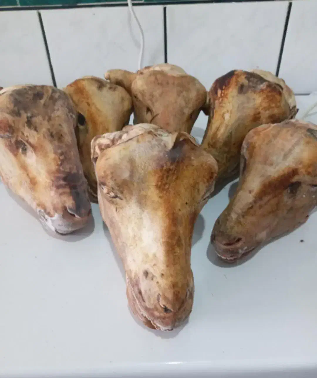 پاک کردن کله پاچه|خوردنی و آشامیدنی|ایلام, |دیوار