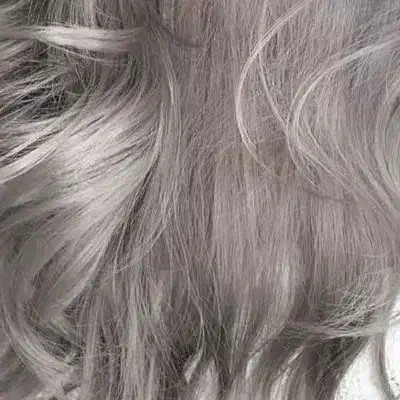 راهنمای|فعالیت داوطلبانه تحقیقاتی|دورود, |دیوار