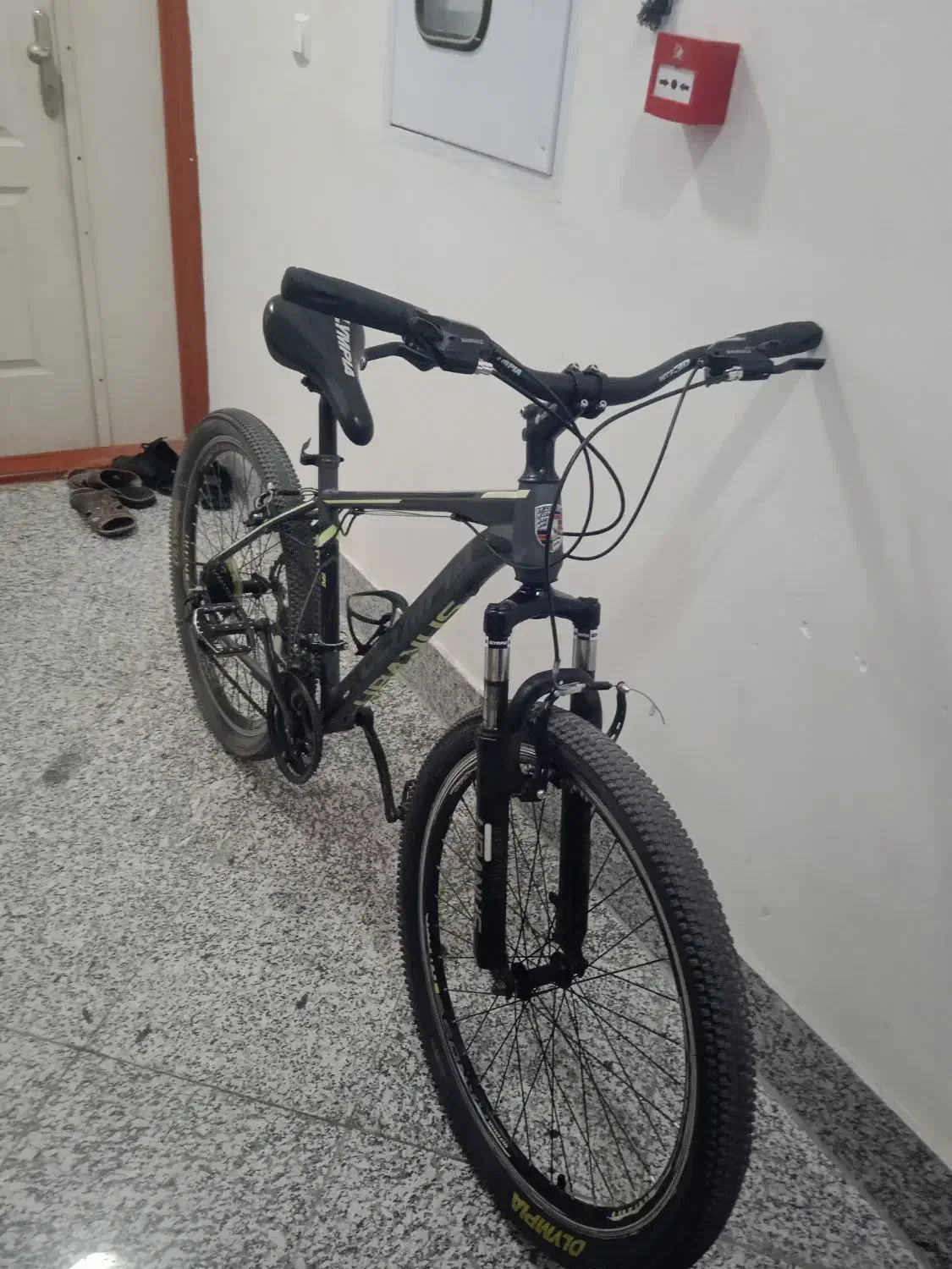 دوچرخه ۲۶|دوچرخه، اسکیت، اسکوتر|بیرجند, |دیوار