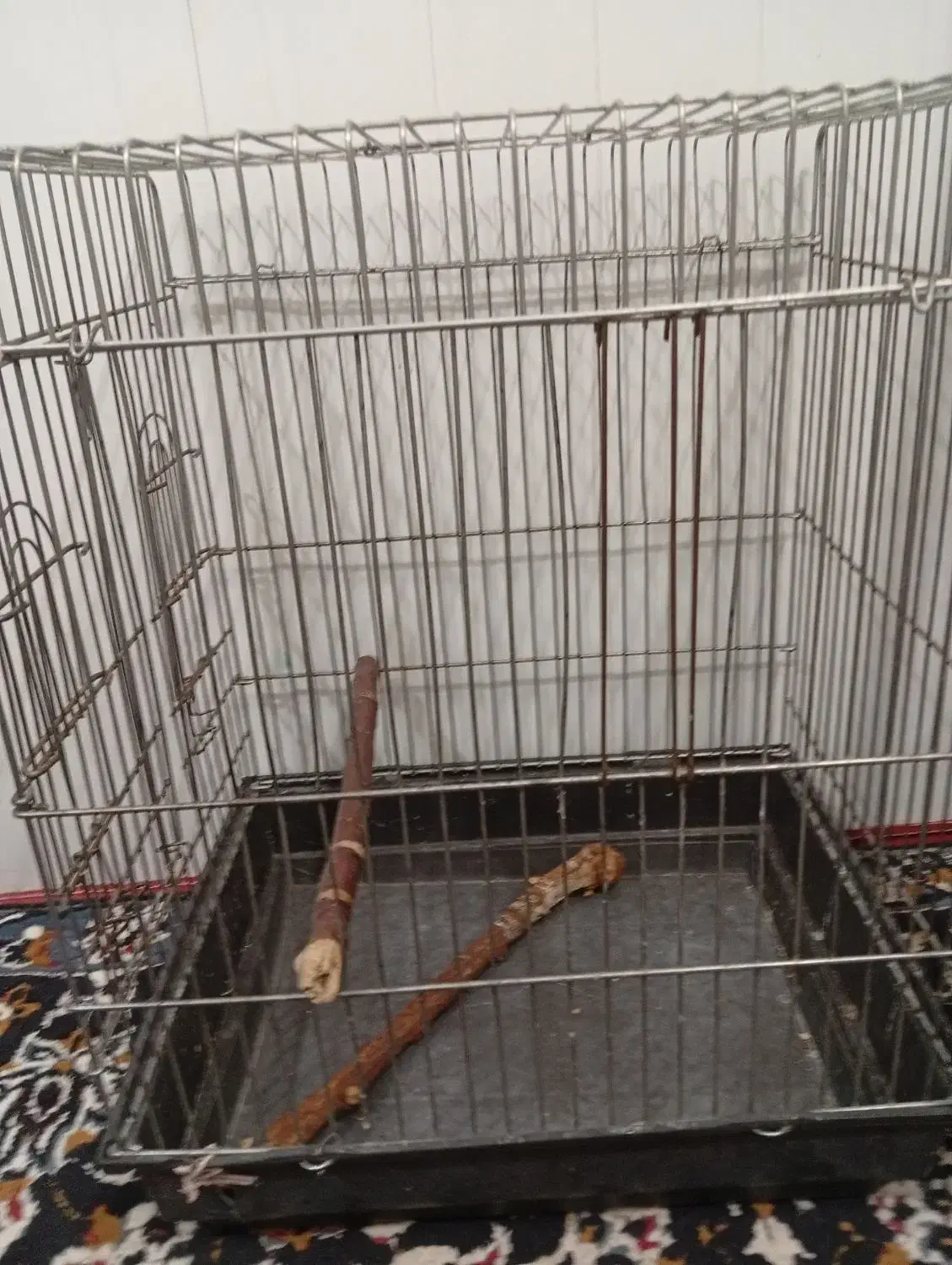 قفس پرنده|لوازم جانبی حیوانات|نی‌ریز, |دیوار