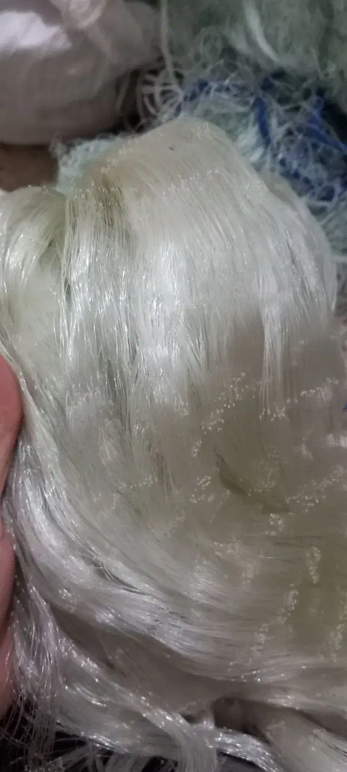 توره ماهی|ماهیگیری|اهواز, سید خلف|دیوار