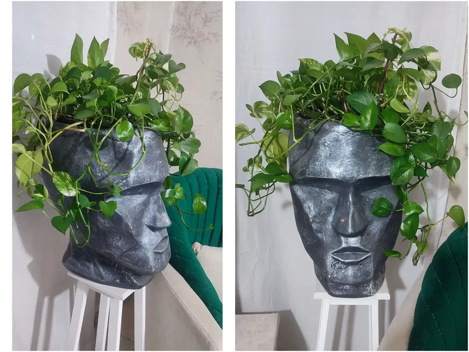 گلدان رخ|گل و گیاه طبیعی|شهریار, شهرک وائین|دیوار