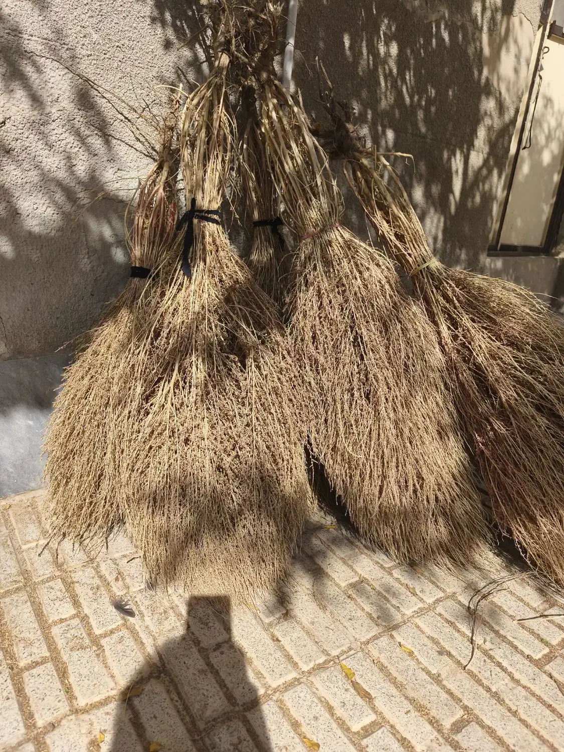 جارو کشمونی|لوازم نظافت|بیرجند, |دیوار