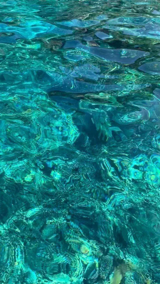 همخونه میشم|اجارهٔ آپارتمان|یزد, |دیوار