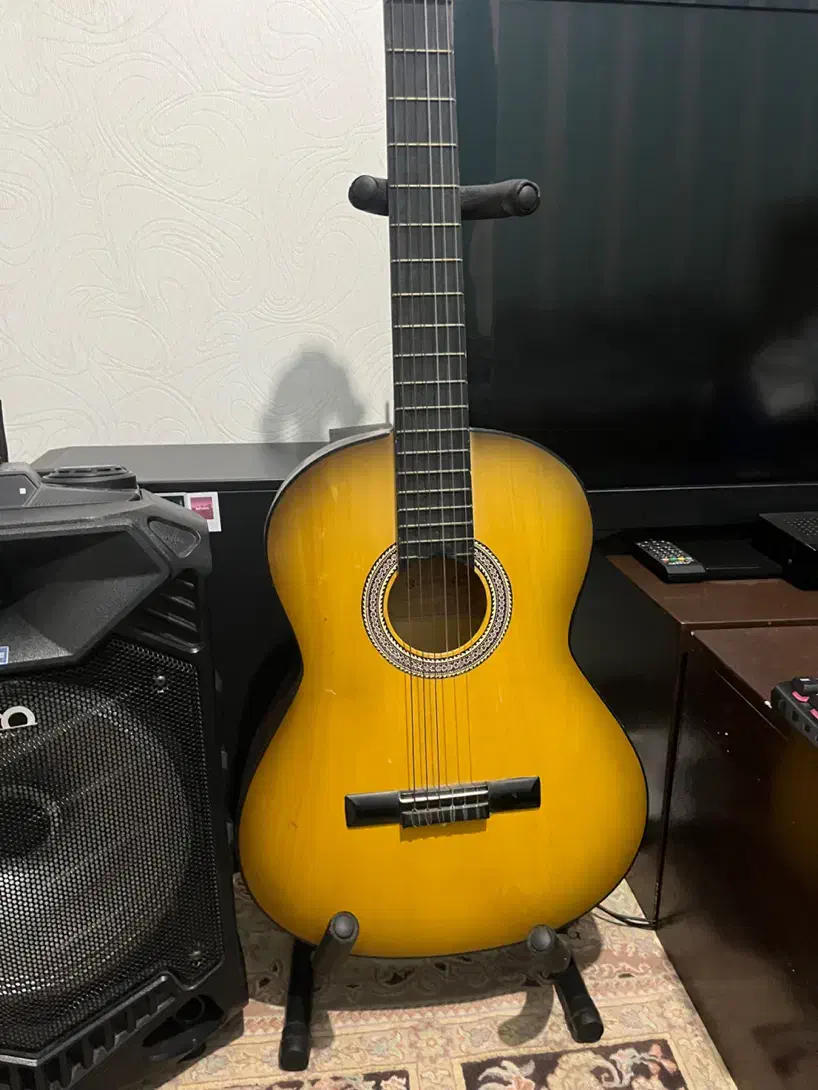 گیتار کلاسیک|گیتار، بیس، امپلیفایر|گرگان, |دیوار