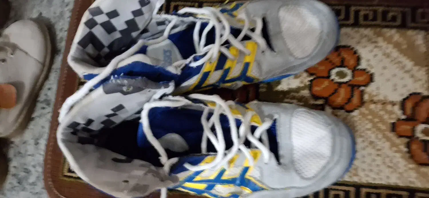 کفش کشتی|کیف، کفش، کمربند|قروه, |دیوار