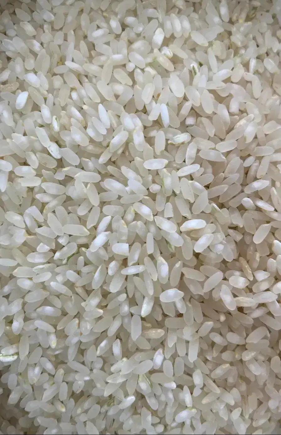 برنج اصل کامفیروزی به شرط|عمدهفروشی|لار, |دیوار