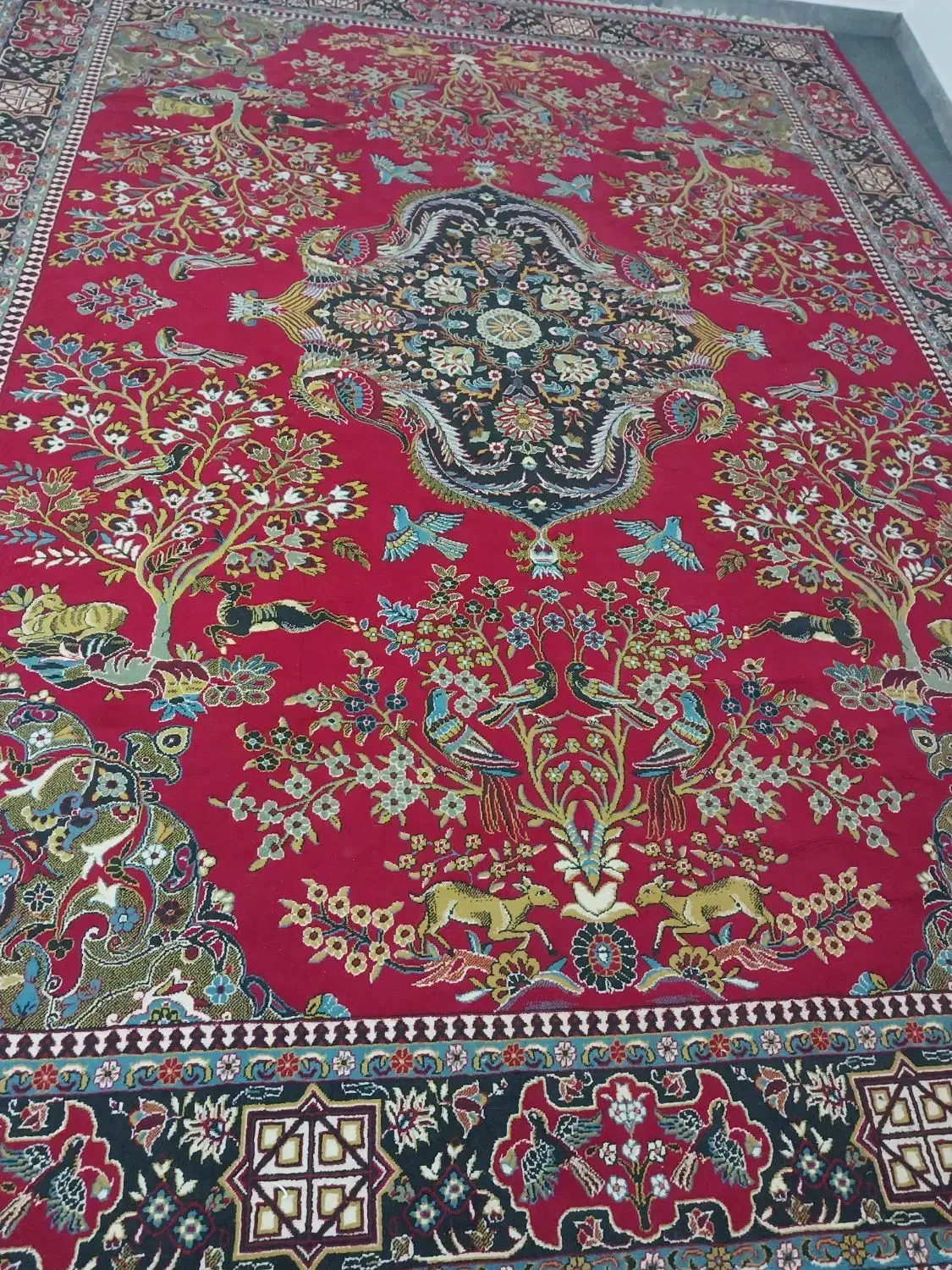 فرش ۱۲ متری ۵۰۰ شانه|فرش|ساری, |دیوار