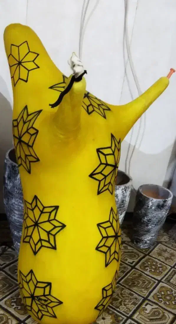 پوست نی انبان|سازهای بادی|بوشهر, |دیوار