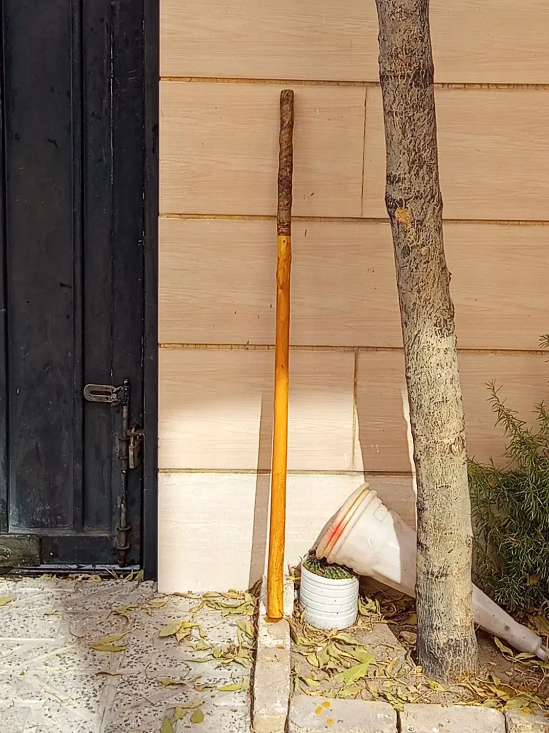 چوب دستی|مصالح و تجهیزات ساختمان|قزوین, |دیوار