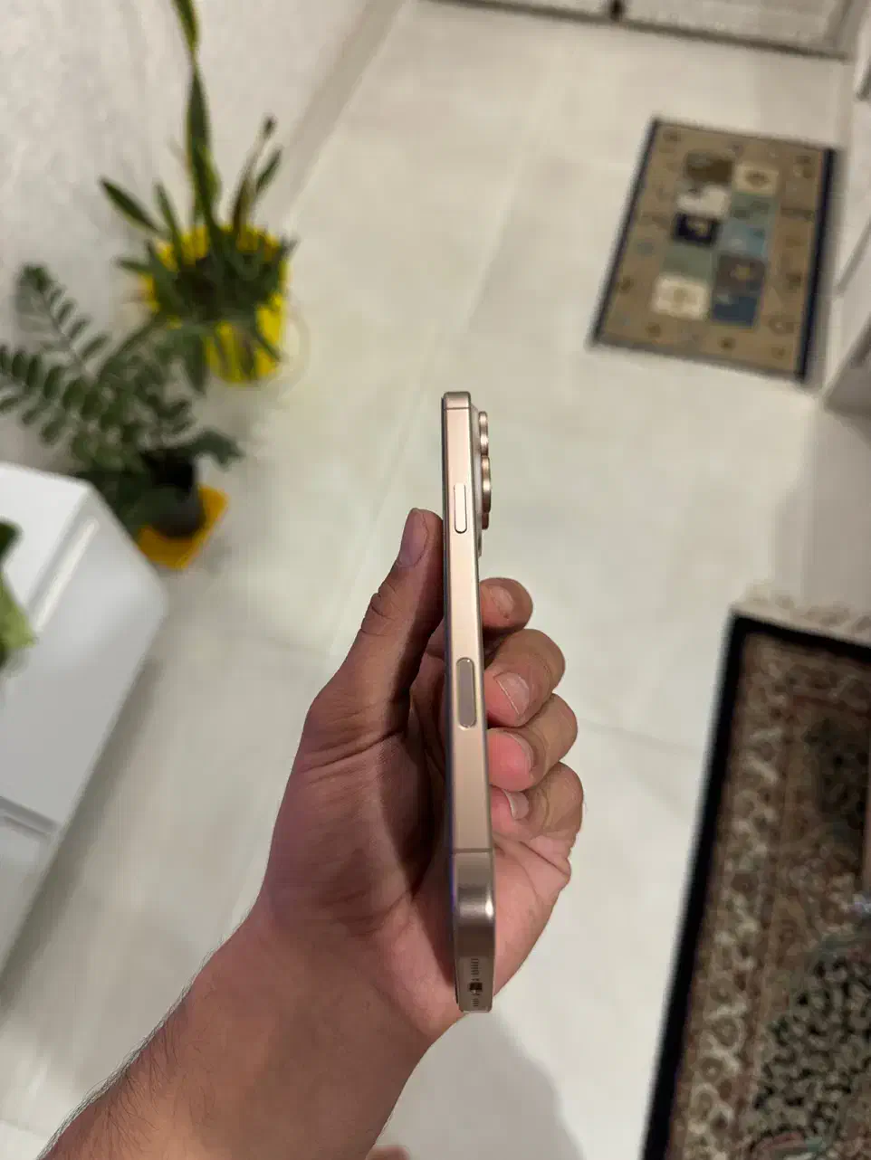 Iphone 16 pro max|موبایل|گرگان, |دیوار
