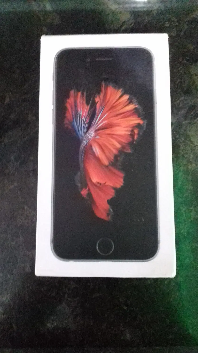 ایفون 6s|موبایل|همدان, |دیوار
