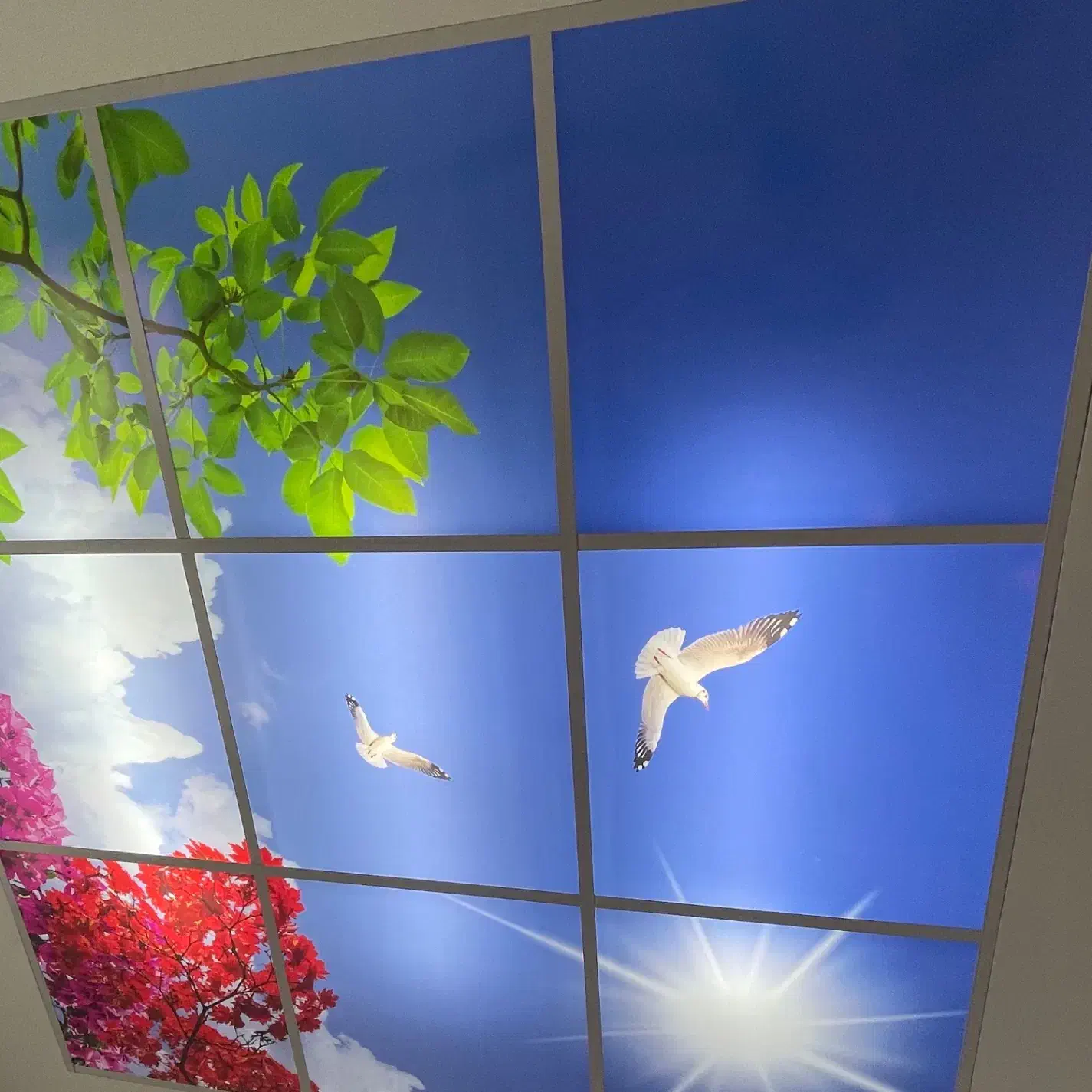 اجرای کمپارس،آرمسترانگ،آسمانمجازی،ماربل وترمووال|خدمات پیشه و مهارت|رشت, سعدی (تختی)|دیوار