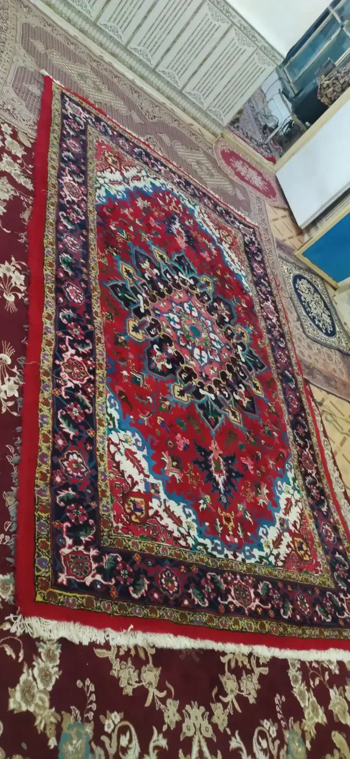 فروش هریس|فرش|مراغه, |دیوار