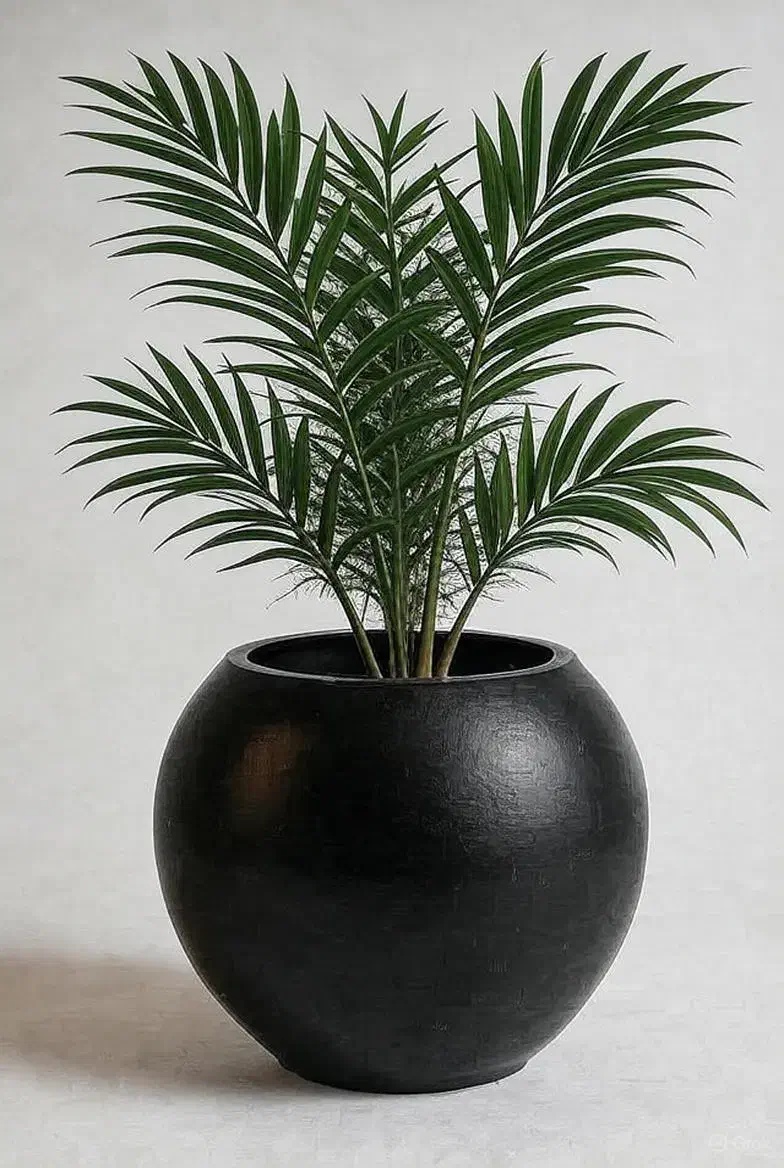 گلدان فایبرگلاس دکوراتیو بزرگ|گل و گیاه طبیعی|تهران, خاوران|دیوار