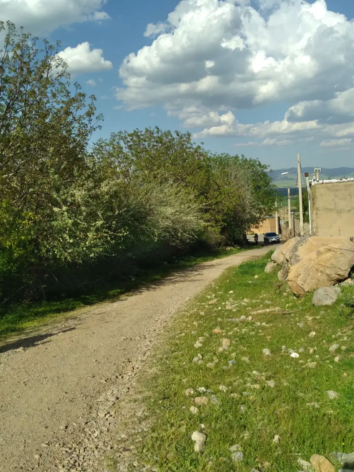 فروش باغ گردو درروستای چنارستان|فروش دفتر صنعتی، کشاورزی، تجاری|بروجرد, |دیوار