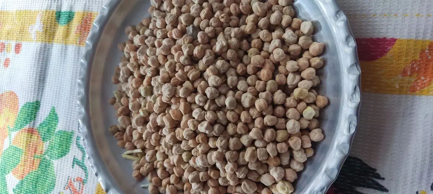 700کیلو نخود|خوردنی و آشامیدنی|دهگلان, |دیوار