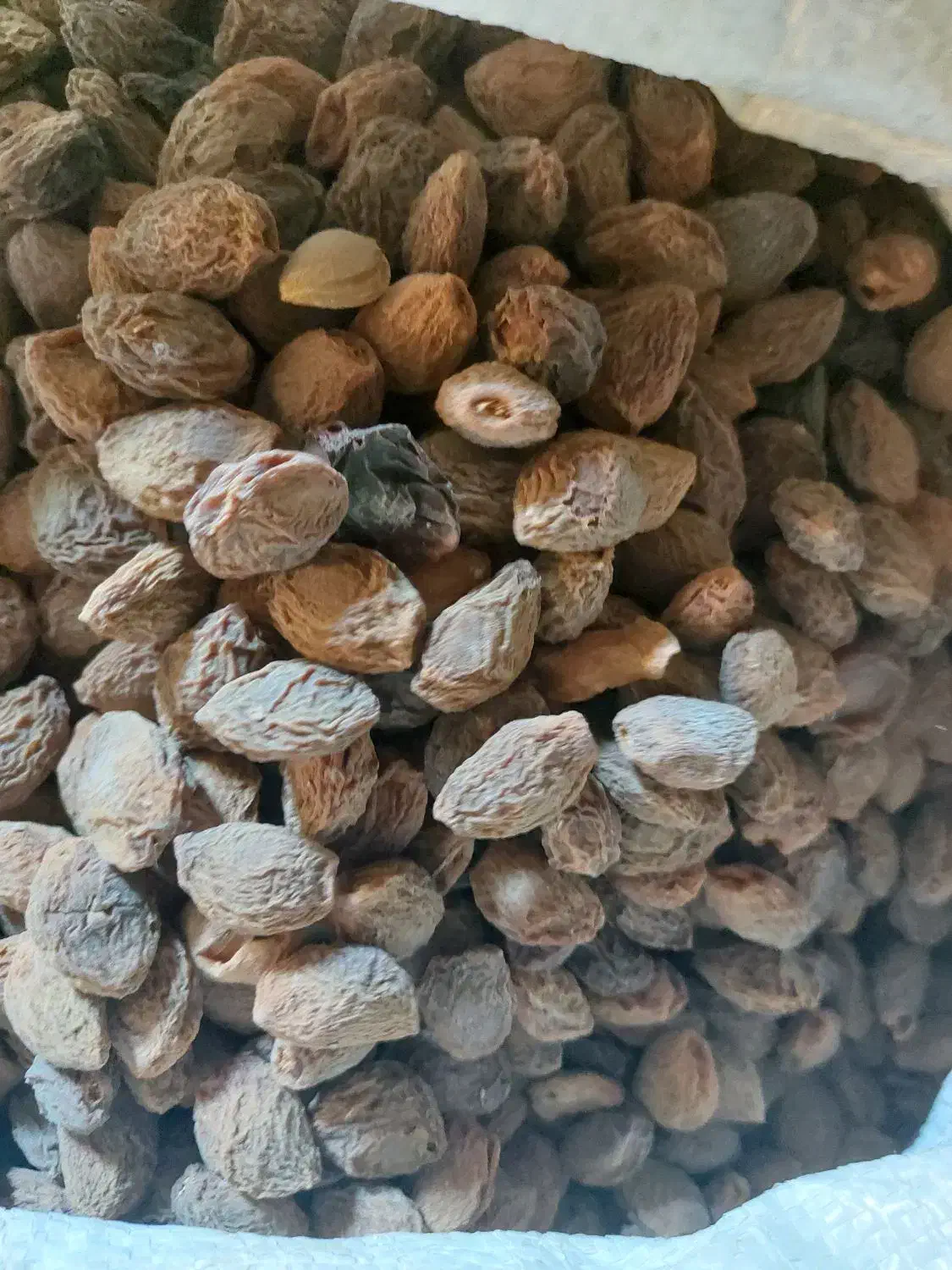 فروش زردالو با هسته|خوردنی و آشامیدنی|رزن, |دیوار