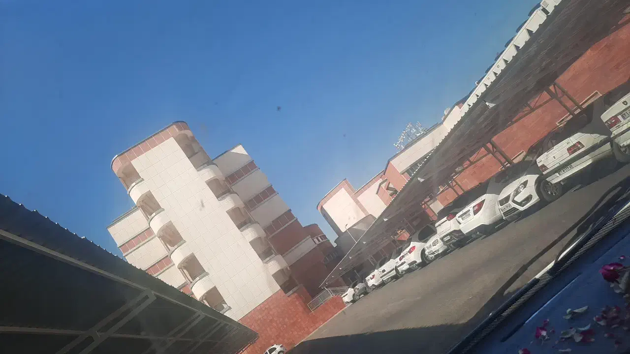 راهنمایی|تور و چارتر|شیراز, دانشگاه شیراز|دیوار